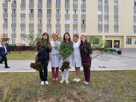 Профсоюз покачевской больницы помог появиться "Аллее зелёных елей"